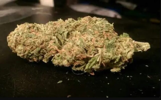 Best Sativa for Daytime Use