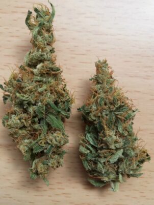 Cannabis Strain for Creativity