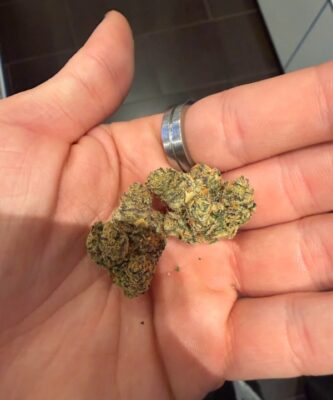 Beste plaats om Lemon Haze te kopen