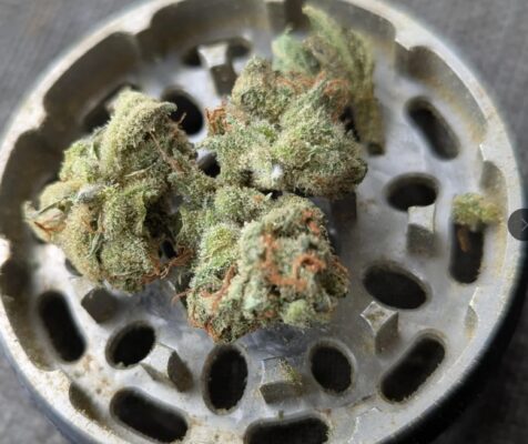 Where to buy Amnesia Haze legally