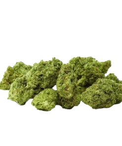 Buy Amnesia Haze Strain in Netherlands