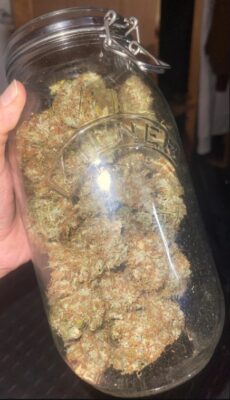 Best Sativa for Daytime Use