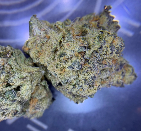 Beste plaats om Lemon Haze te kopen