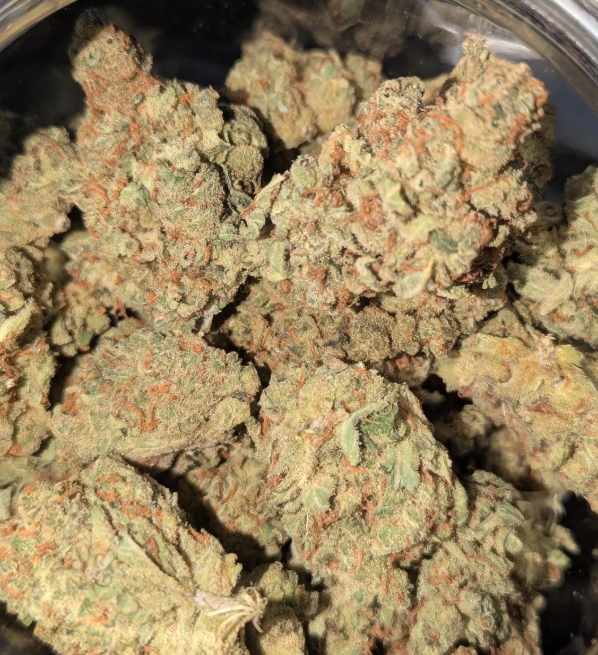 Where to buy Amnesia Haze legally